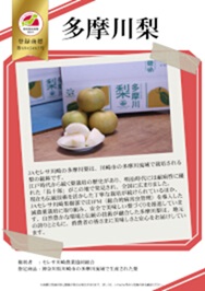 紹介パネル：多摩川梨