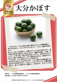 紹介パネル：大分かぼす