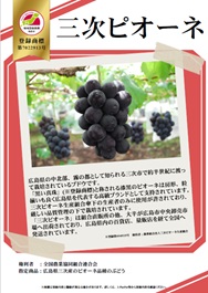 紹介パネル：三次ピオーネ