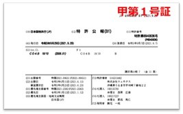 （画像）電子特殊申請のイメージ