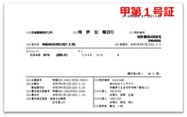 (画像)表示例