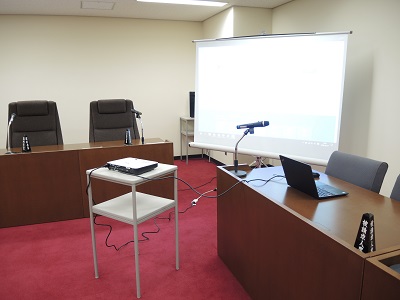 （画像1）映像表示機器の画像